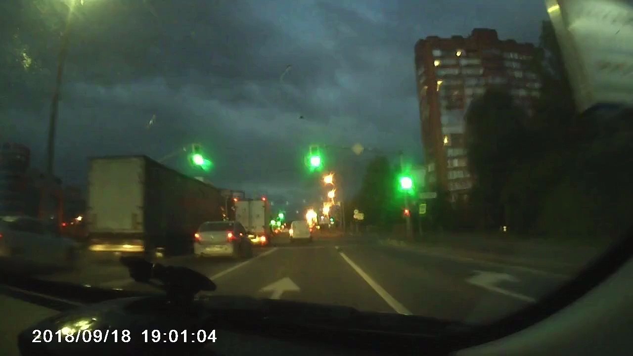Head on Collision with a Horse