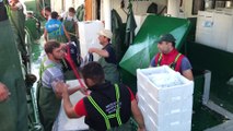 - Akçakoca'da balıkçılar Karadeniz'den 40 ton palamutla döndü