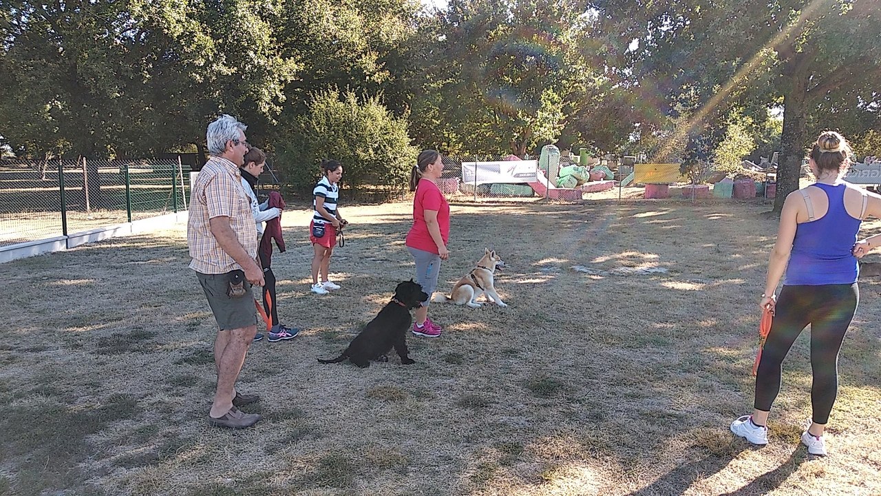 La récréation à l’école des chiots