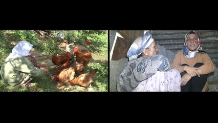 91 yaşındaki Çiçek Nine arı gibi