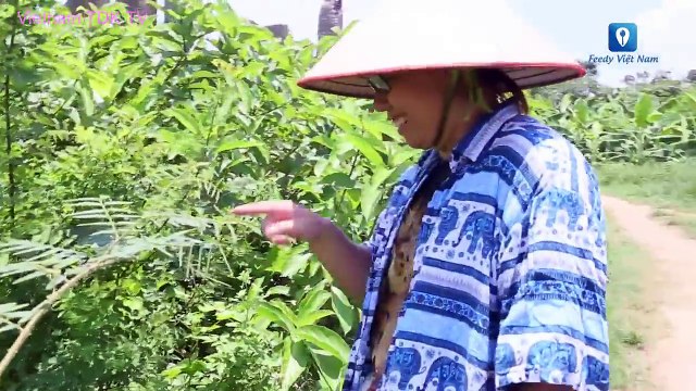 Hướng dẫn cách làm món CÁ LÓC NƯỚNG MÍA | Vietnam TDK TV