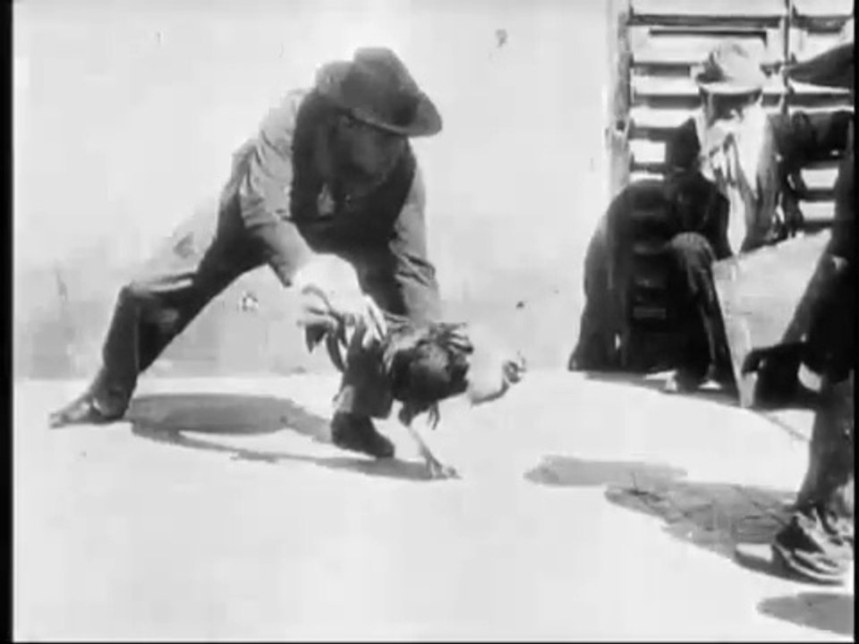 Auguste & Louis Lumière - Combat de coqs (1896)