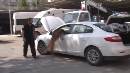 Kiralık Aracın Yakıt Deposundaki Turşu Kavanozlarından Eroin Çıktı