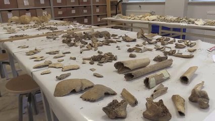 Kemikteki İzlerden Geçmişin Şifrelerini Çözüyor