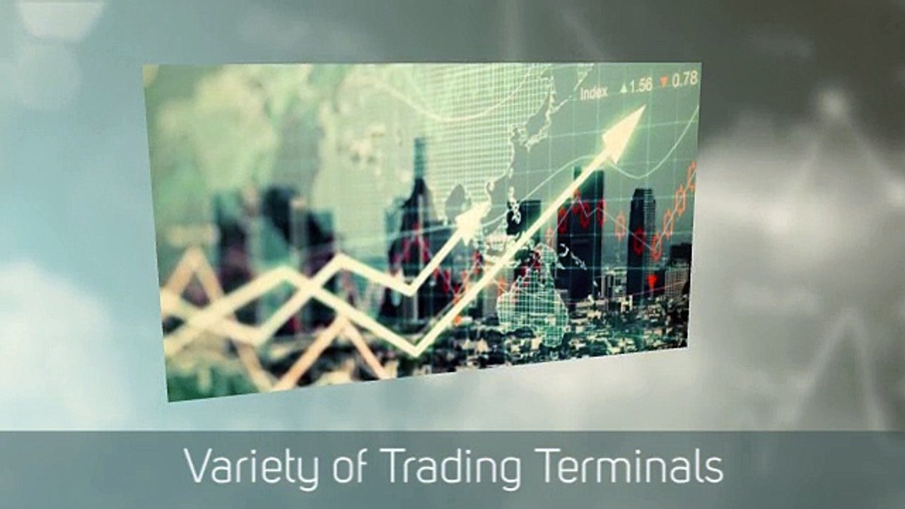 How To Start Forex White Label