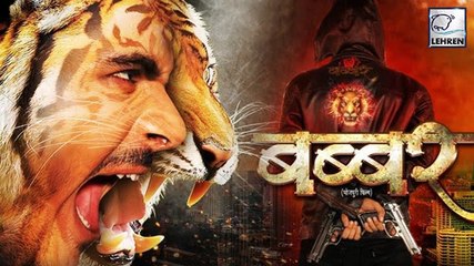 शेर की दहाड़ लेकर आ गया 'बब्बर' | Arvind Akela Kallu