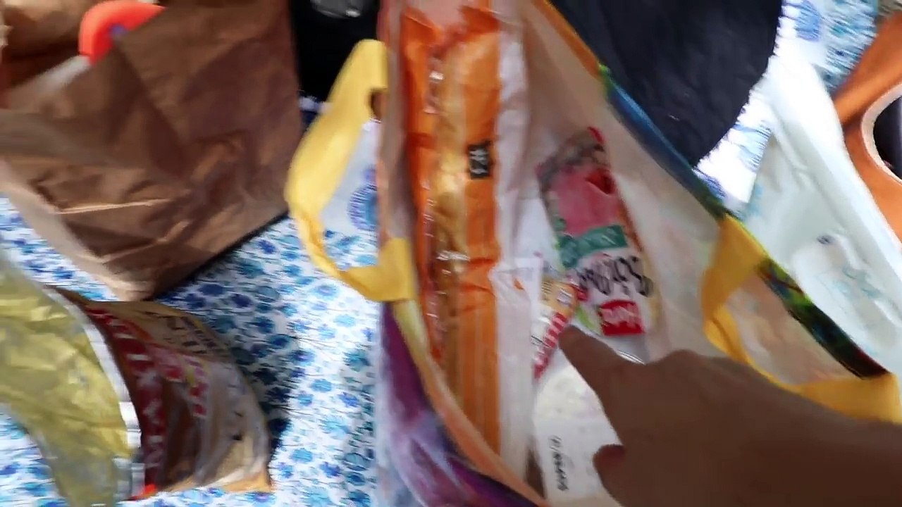  Lili-Rose parle ! - Vlog famille 25.06