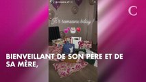 PHOTOS. Hugo Lloris : le champion du monde offre un anniversaire de rêve à sa fille Anna-Rose