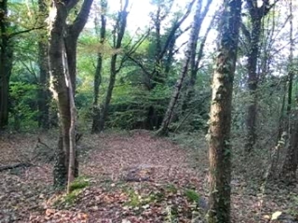 alexis au terrain militaire