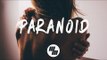 Lauv - Paranoid (Lyrics) Felix Palmqvist Remix