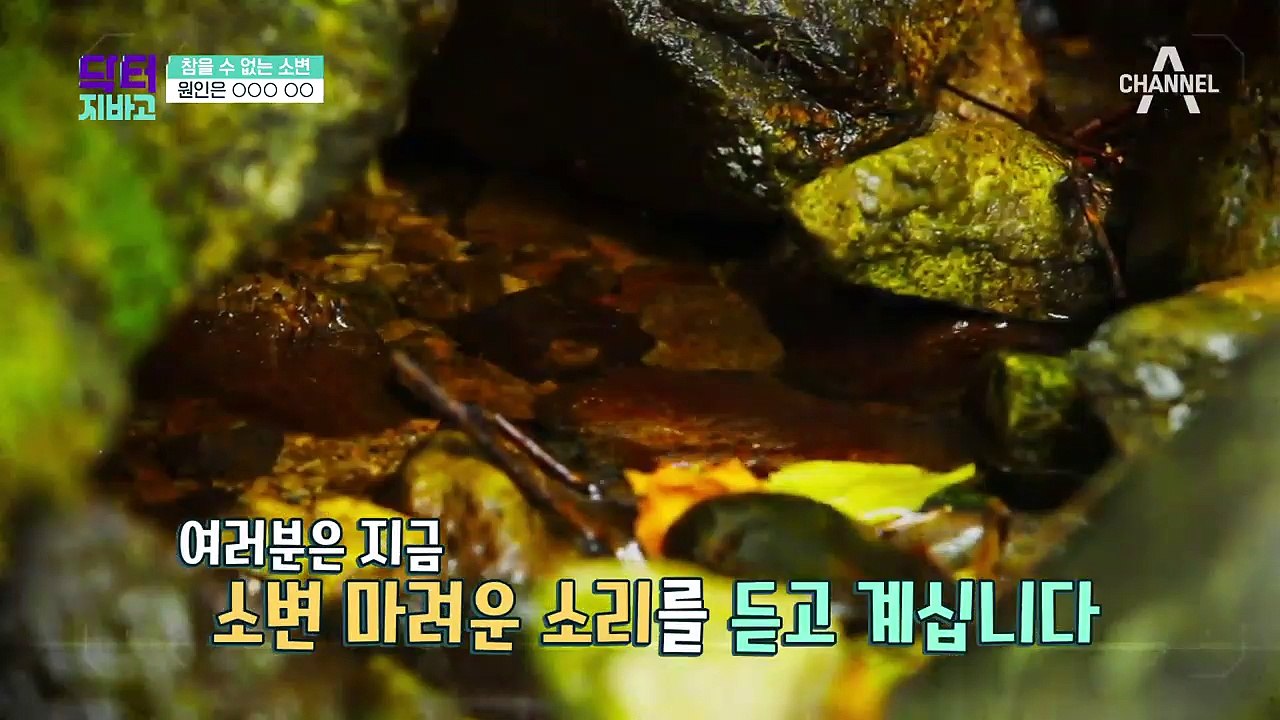 과민성 방광 자가진단법! 나도 혹시...?