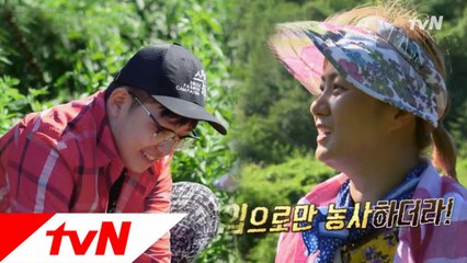 나래에게 딱 들킨 입(?)농부 태웅이 ㅋㅋㅋㅋ