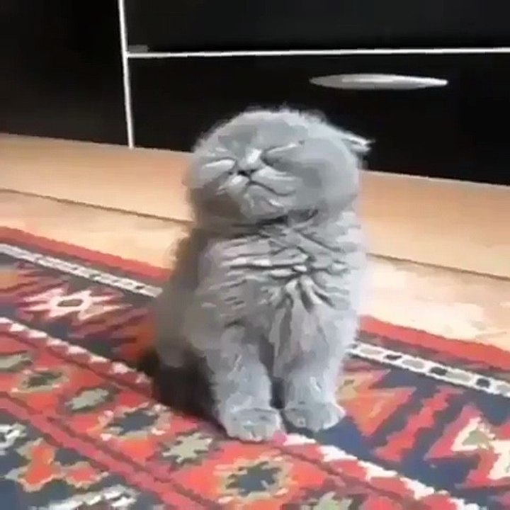 Do not Distrib