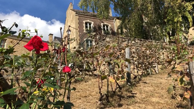 Le Mans « Entre cours et jardins »