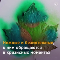 Что о вас говорит ваш любимый цвет?