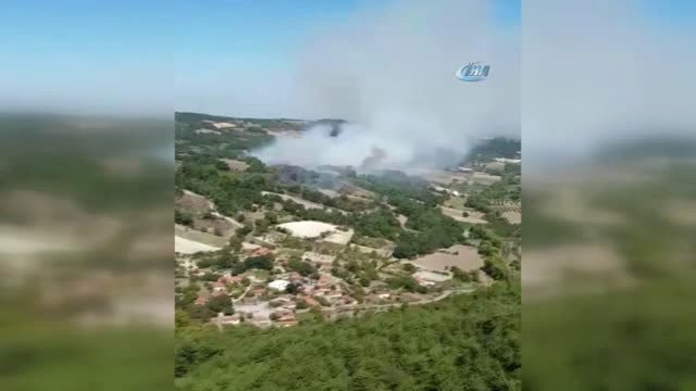 Zirai Alanda Başlayan Yangın Ormana Sıçradı