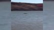 Bingöl Bingöl'de Balık Avı Sırasında Nehre Düşen Kişinin Cansız Bedenine Ulaşıldı