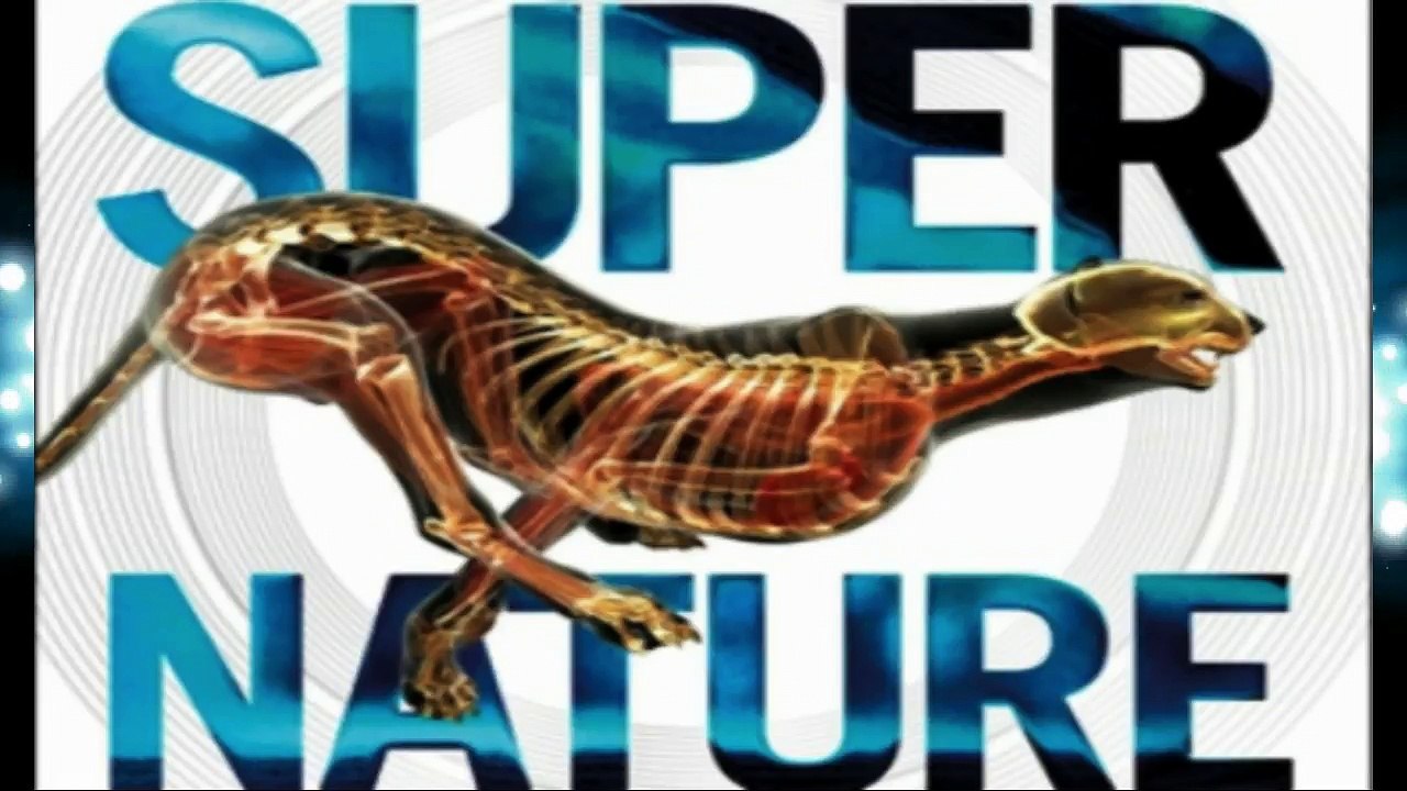 Cerrone-Supernature( Shiyam Unofficial Bootleg)