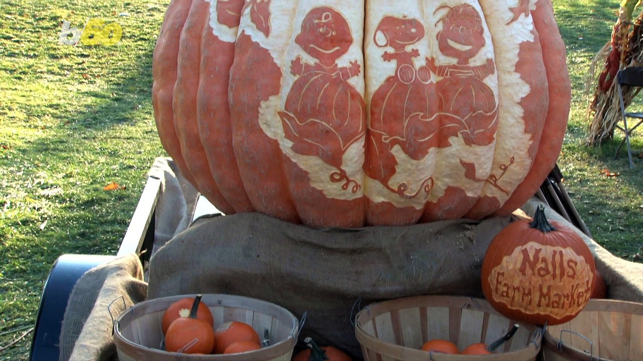 Adorable Costumes You Can Wear With Your Pet to Win Halloween!