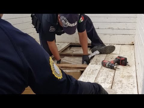 Policía Federal decomisa 161 kilogramos de marihuana en Oaxaca