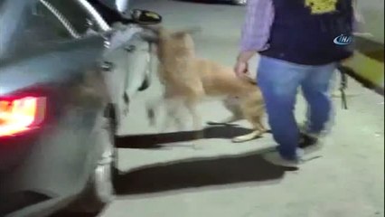 Yakıt Deposunda Uyuşturucu Taşıyan 2 Kişi Tutuklandı