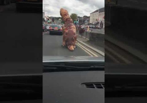 Dino Cyclist Navigates Traffic in Northern Ireland