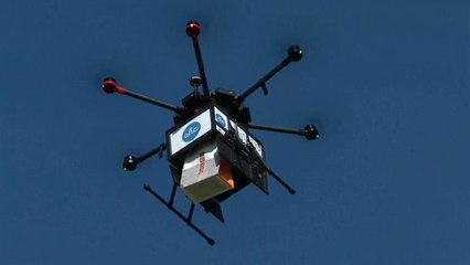 Watch: Pie in the sky? Iceland embraces growing drone delivery service