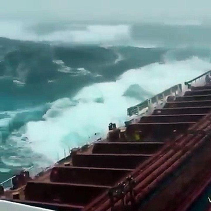 Do you travel by sea! Watch this