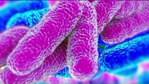 2 Cases of Legionnaires' Disease Linked to Chicago Hotel