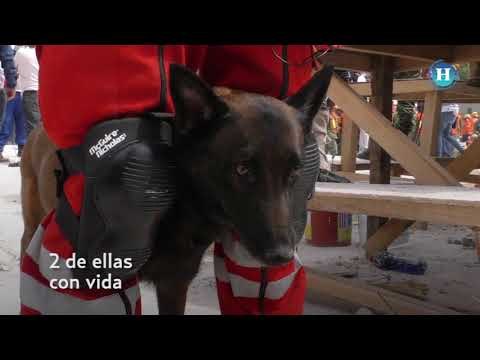 Sismo CDMX: Terminan labores de rescate en fábrica de Chimalpopoca