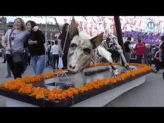 Ofrenda monumental del Zócalo dedicada a la solidaridad