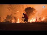 Hombre rescata a un conejo de incendio en California