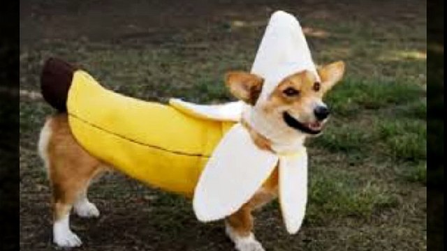 유성출장안마 010s2697s8303 신용후불제 유성출장마사지 최고미녀대기중 마인드최고 교육철저 유성출장맛사지 내상절대불가 수질최한 안전한신용후불제 20대아가씨대기중 극한수위 특별한서비스