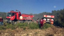 Kozan'da orman yangını (2) - ADANA