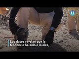 Crecen feminicidios en Cd. Juárez