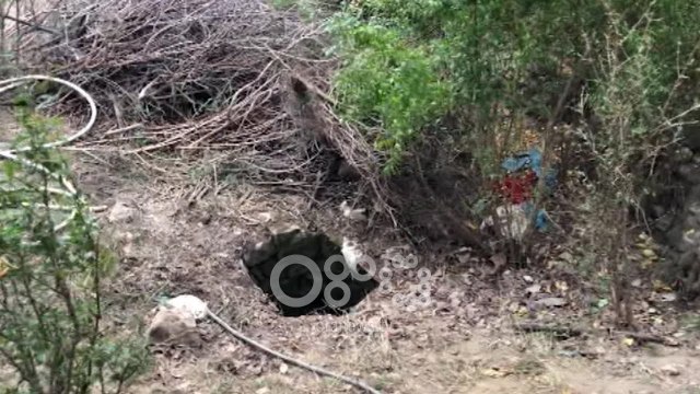 Ora News - E rëndë në Lezhë, dajë dhe nip vdesin gjatë pastrimit të një pusi