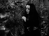 The Addams Family S01E09 - The New Neighbors Meet the Addams Family