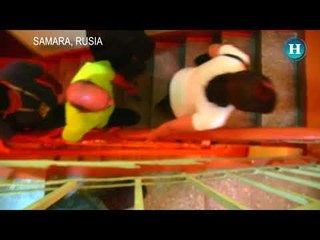 Un recorrido al interior del búnker de Stanlin