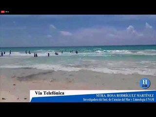 Gobierno, academia y empresarios deben trabajar en conjunto por sargazo