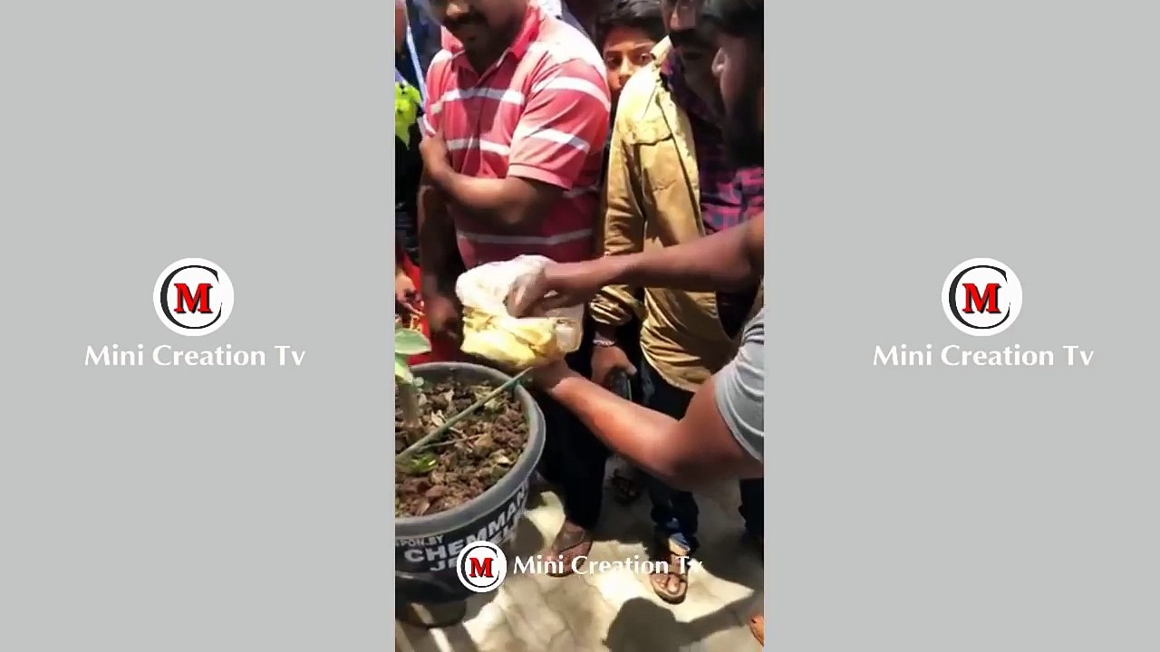 ബത്തേരി മീൻ മാർകറ്റിൽ കറിവെക്കാൻ വാങ്ങിച്ച മീനിന്റെ അവസ്ഥയാണിത്| malayalam news fish market bathery