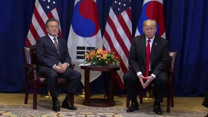 문 대통령·트럼프 대통령, 한미 정상회담 시작 / YTN