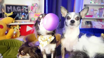 МУЧАЕМ АНТИСТРЕСС! РЕЖЕМ ЖАРИМ И ВЗРЫВАЕМ СЛАЙМ ВОЛШЕБНЫЕ ПИТОМЦЫ ПРОТИВ ГИГАНТСКОГО ЛИЗУНА