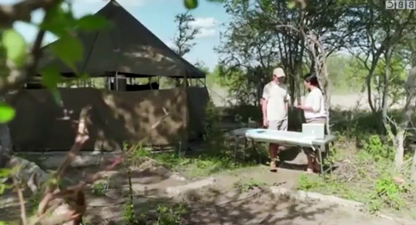 Nature's Epic Journeys S01 - Ep03 Zebra - Part 01 HD Watch