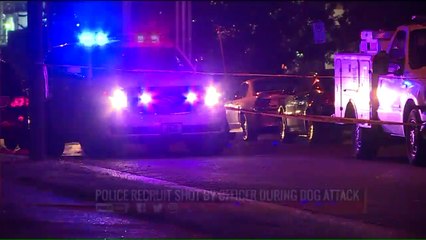 Officer's Stray Bullet Wounds St. Louis Police Recruit During Ride-Along