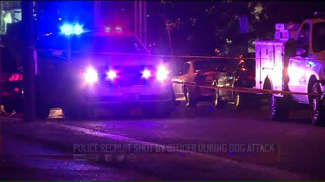 Officer's Stray Bullet Wounds St. Louis Police Recruit During Ride-Along