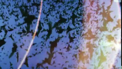 The Wonders of the Animals S01 - Ep10 Bats HD Watch