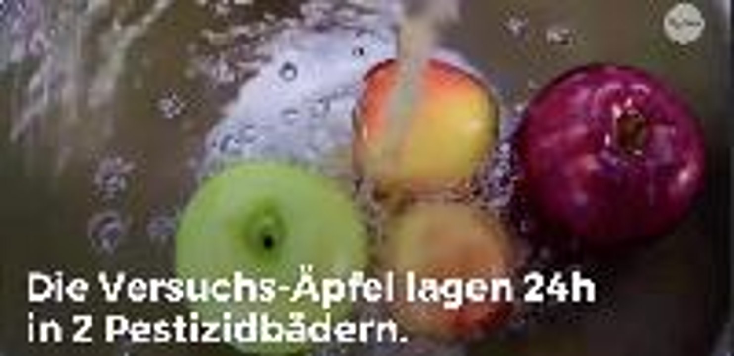 Weg mit den Pestiziden: So werden Äpfel richtig gereinigt