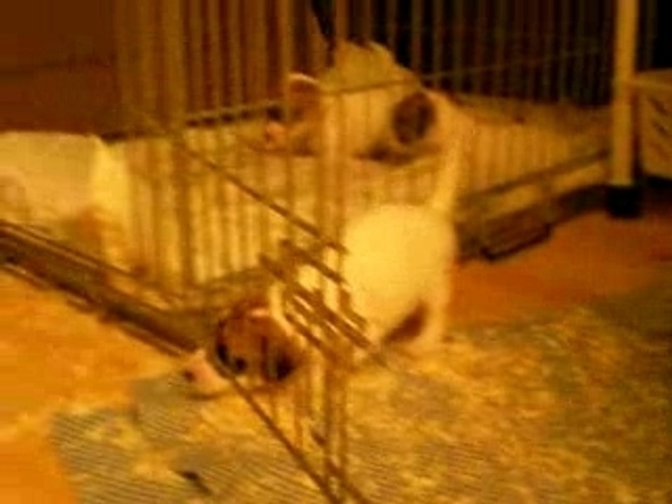 hop hop hop, tu restes là...