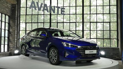 현대차, 안방 수성 총력...수입차 파상 공세 / YTN