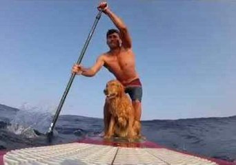Surf's Up: Dog and Owner Catch Some Waves